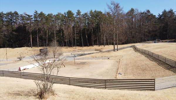 マウントフジ・キャンプリゾート